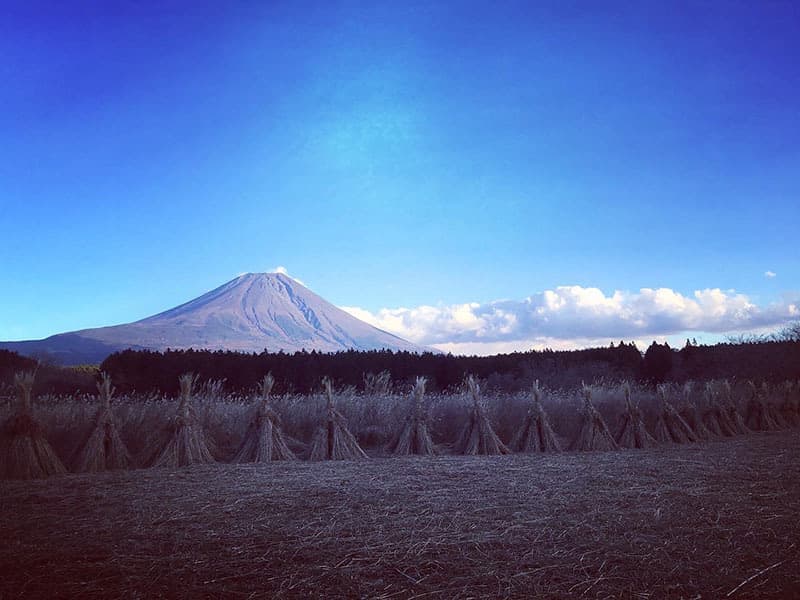 富士山と茅葺き