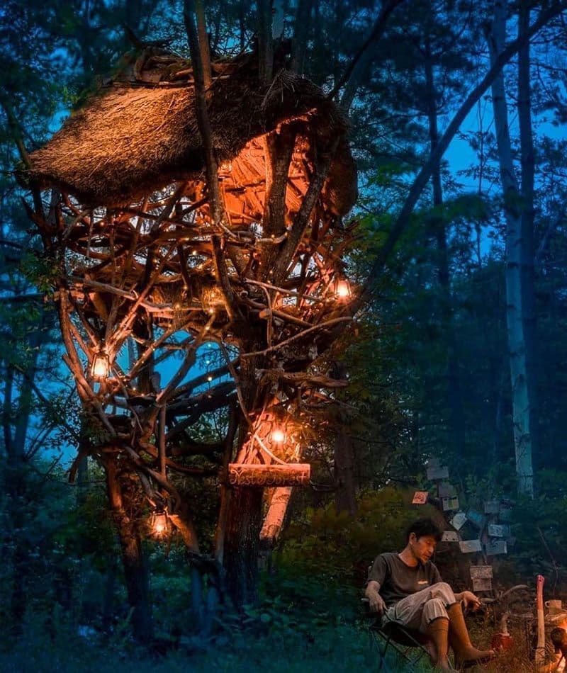 nest of forest（長野県大町市　千年の森）