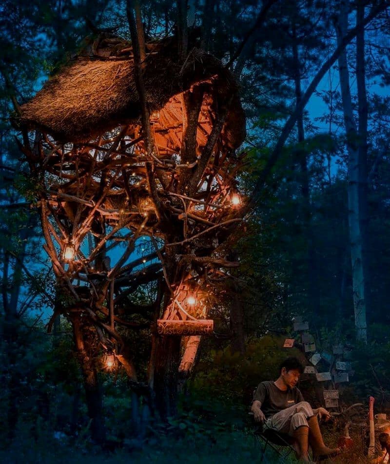 nest of forest（長野県大町市　千年の森）